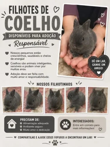Doação de coelhos