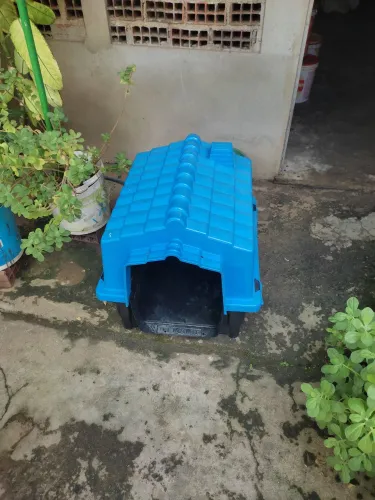 Casinha grande número 4