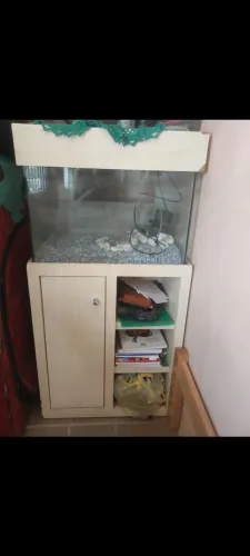 Vendo Aquario com movel completo 40x60