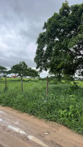 Terreno 32 tarefas em Coração de Maria