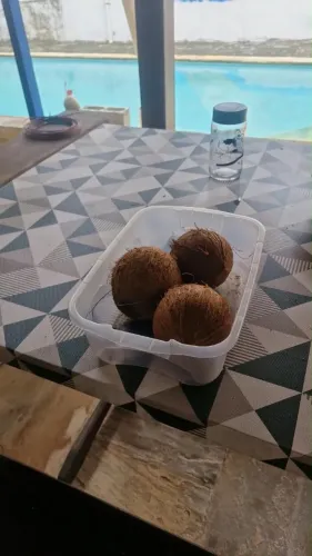 Cocó seco