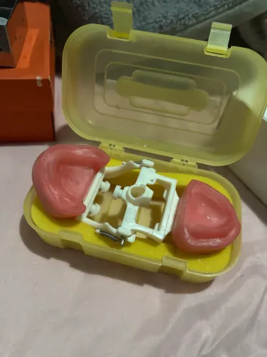 Manequim Dentística