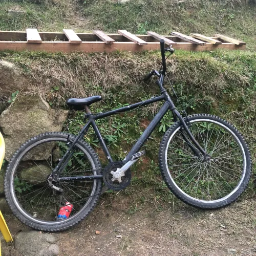 Bicicleta 