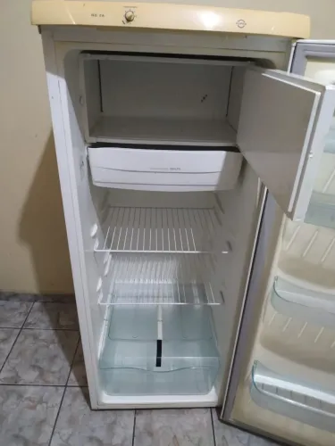 Geladeira Eletrolux uma porta entrego