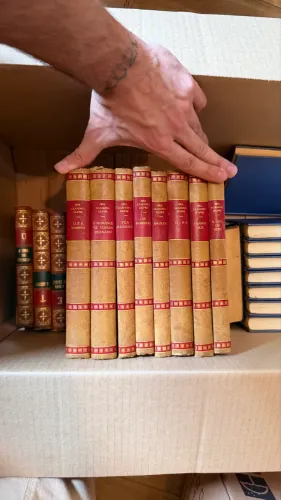 Livros Coleção Maria José Dupré / Sra. Leandro Dupré - 8 Volumes Antigos
