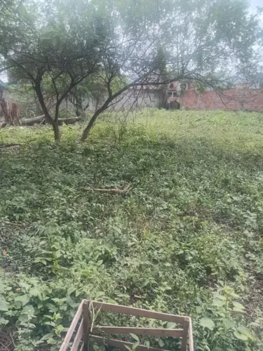 Terreno com área de 750 metros todo murado