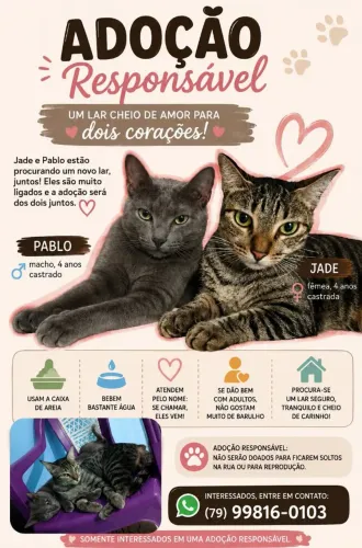Adoção Responsável