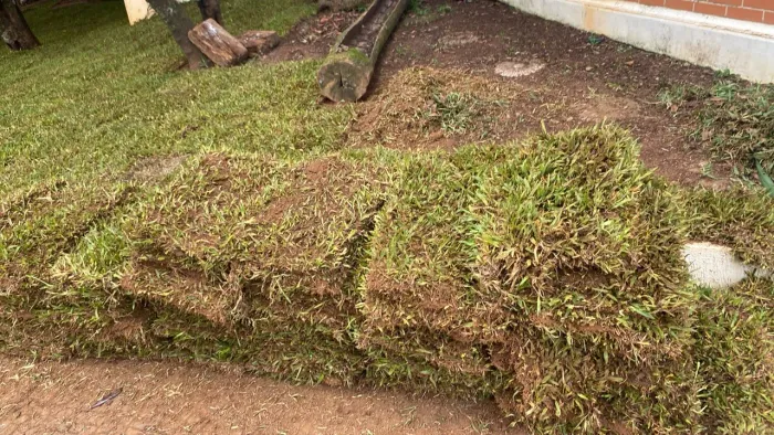 Grama São Carlos direto do produtor rural