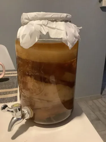 Kombucha