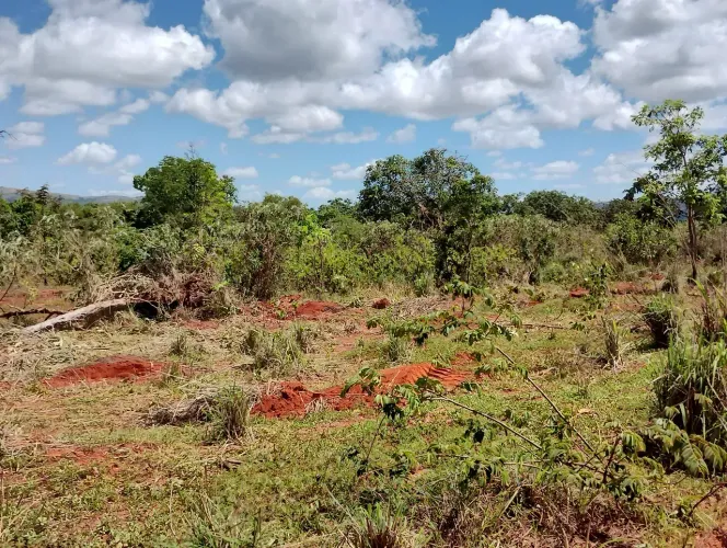 Oportunidade: Fazendinhas Planas com 20.000m2 às Margens da Rodovia 040.