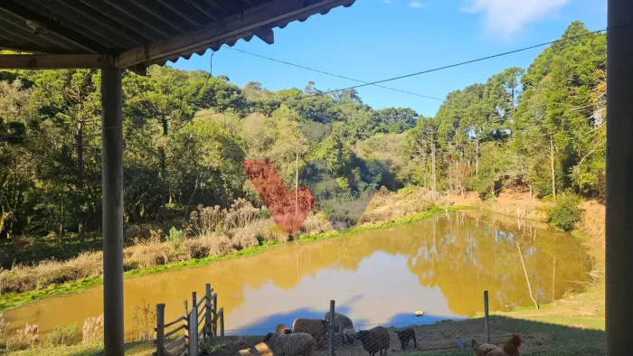 Chácara 48.400m com tanques, riacho e 2 casas aceita imóvel ou carro, Contenda-PR