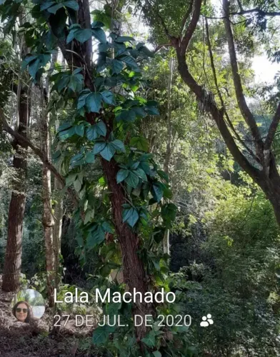 Alvorada lux a venda por 185 mil