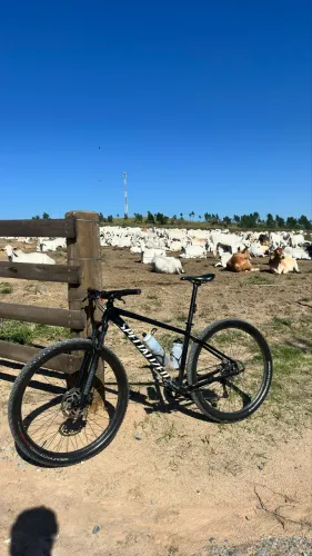 Bicicleta Specialized