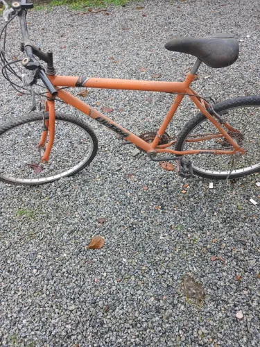 Bicicleta