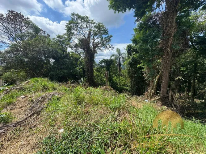 Terreno à Venda  Terra Preta!