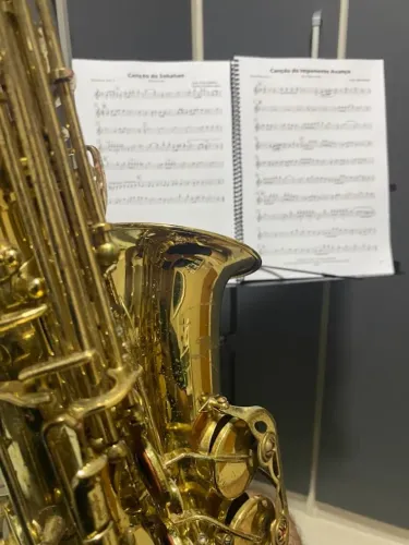 SAX ALTO SHELTER À VENDA