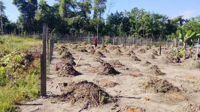 Terreno em Benfica a venda 