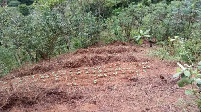 Chácaras 1500 mts em Domingos Martins
