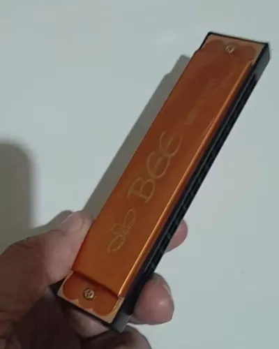Gaita De Boca Harmônica Diatônica 32 Furos (2 Linhas De 16) Bee OS-312 