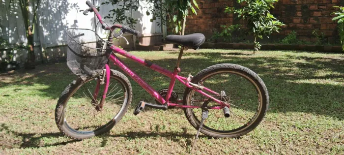 Bicicleta aro 24