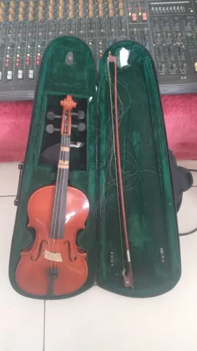 violino