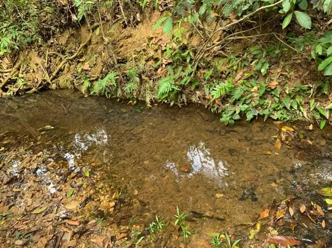 Terreno rural 10ha, com barracão, com riacho no fundo, bela vista, Jaboticatubas.