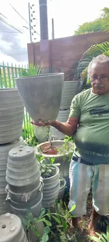 Temos vasos em geral