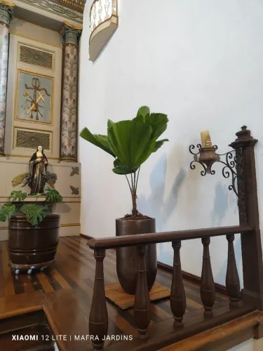 Jardinagem atendemos toda grande Florianópolis !