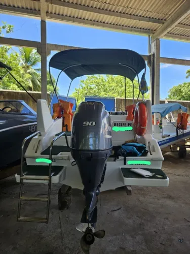 Lancha GoldFish 17 pes