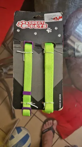 Artigo para caes e gatos