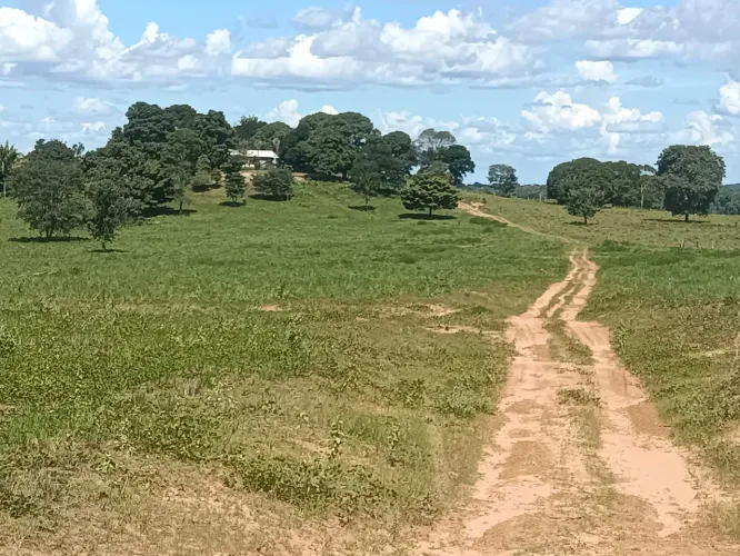 Fazenda 3.450hec em Brasnorte MT. 1000 em pasto 60 milhões.