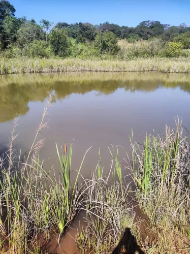 Chácara / Sitio / Terreno, Distrito Vila Rica, Orlando de Marais, Nerópolis - Goiânia - G