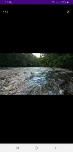 BR 174 com corredeira do Urubuí Km 110. 200.000m2