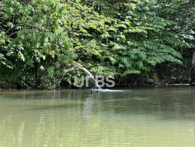 Chácara Rica em Água e com localização Privilegiada - Sítios Recreio Ipê