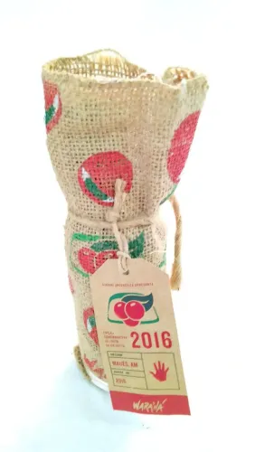 Garrafa guaraná antártica festa da colheita Maué