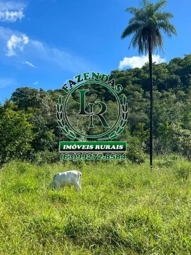 Fazenda  Dupla Aptidão 348 Hectares Região Almas