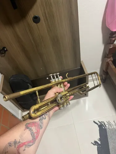 Trombone Dolphin