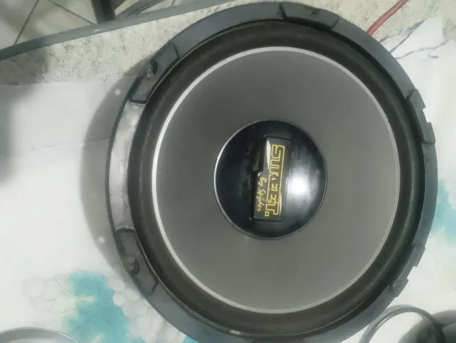 Auto falante automotivo