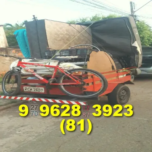 Frete Cavaleiro com pontualidade
