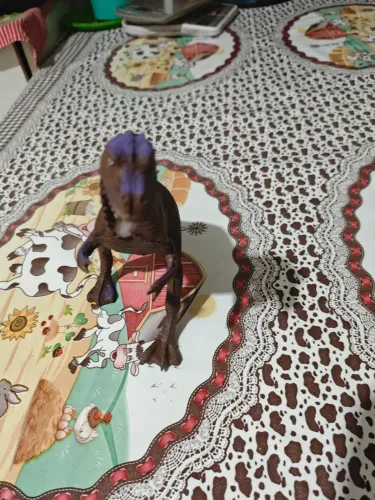 Dinossauro de brinquedo