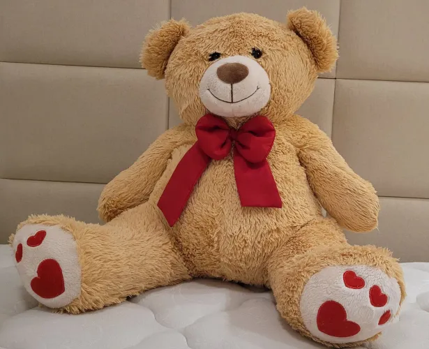 Urso Pelucia Teddy Bear G