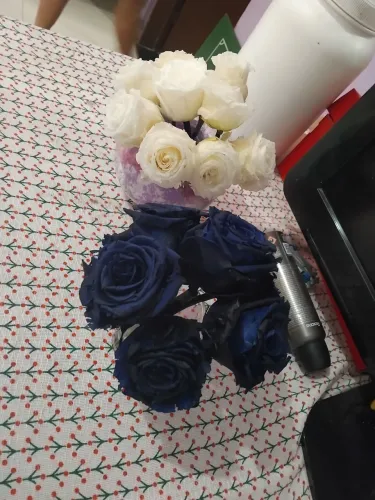 Vendo essas 2 rosas hidratadas da Alemanha 