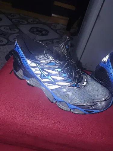 Mizuno wave prophecy