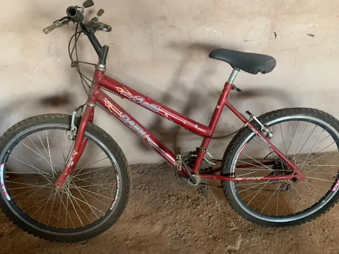 Bicicleta aro 24