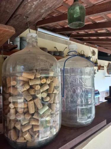 Garrafões de Vidro Antigos (20L)