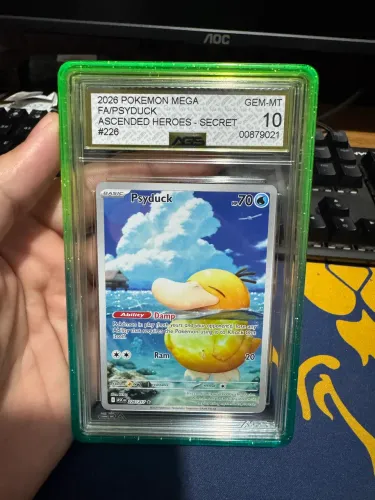 Pokemon Psyduck ingles