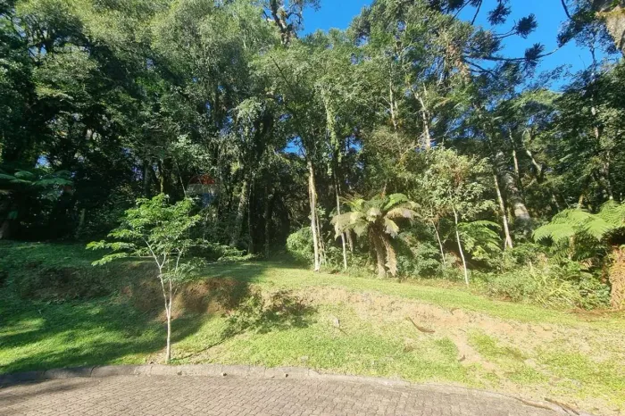 Terreno Condomínio Pinheiro Grosso