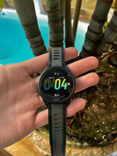 Garmin 165 standard