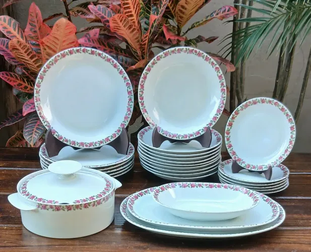 Aparelho de jantar Renner rosas