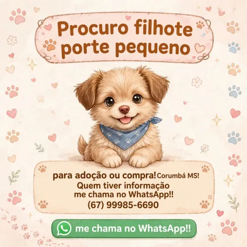 Adoção ou Compra!Em Corumbá MS 